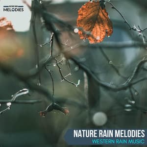 Nature Rain Melodies - Western Rain Music - The Rain Library