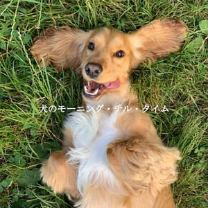 犬のモーニング・チル・タイム - Calming Dog Jazz Classics