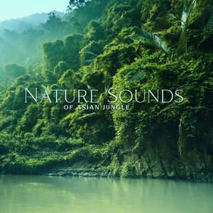 Nature Sounds of Asian Jungle - Mother Nature Sound FX