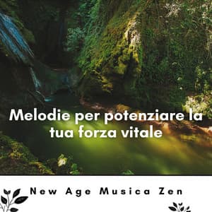 Melodie per potenziare la tua forza vitale - New Age Musica Zen