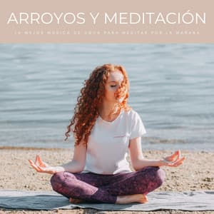 Arroyos Y Meditación: La Mejor Música De Agua Para Meditar Por La Mañana - Meditaciónessa