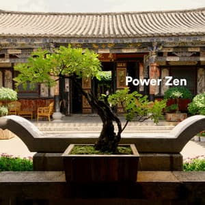 Power Zen - 7 Chakras