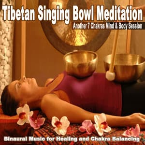 Tibetan Singing Bowl Meditation - Tibetan Singing Bowl Meditation
