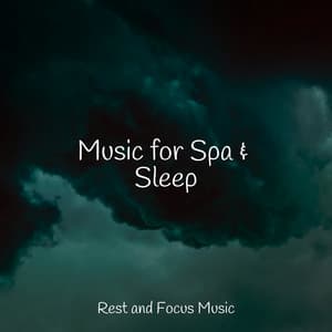 Music for Spa & Sleep - Deep Focus