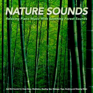 Nature Sounds: Relaxing Piano Music With Soothing Forest Sounds and Bird Sounds For Deep Sleep, Meditation, Reading, Spa, Massage, Yoga, Studying and Sleeping Music - Sleep Sounds of Nature