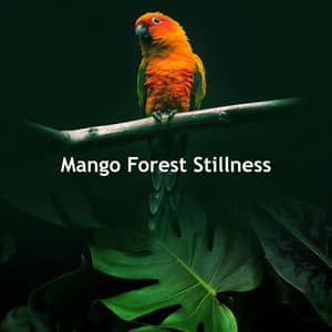 Mango Forest Stillness - Calming Rainforest Sounds