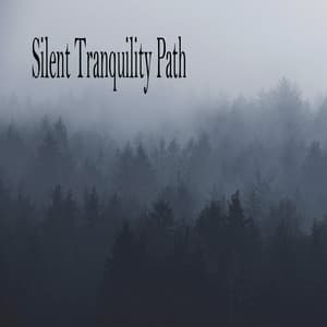Silent Tranquility Path - Musica Relajante