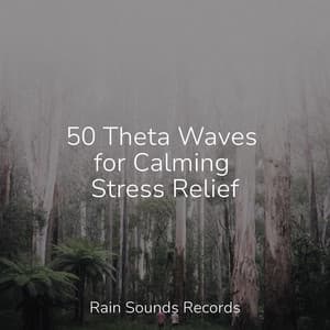 50 Theta Waves for Calming Stress Relief - Relajacion Del Mar
