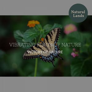 Vibrating Flags of Nature - Victory of Nature - Sleepy Times