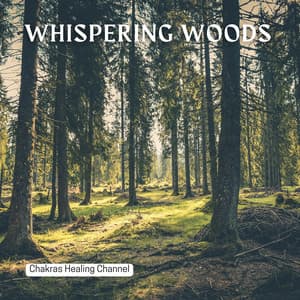 Whispering Woods: Shamanic Tones - Chakras Healing Channel