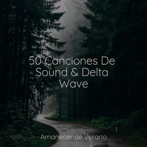 50 Canciones De Sound & Delta Wave - Academia de Música con Sonidos de la Naturaleza