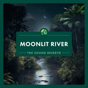 Moonlit River - The Sound Reserve