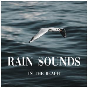 Rain Sounds in the Beach - Reiki Tribe