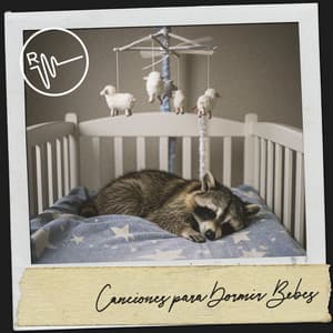 Canciones para Dormir Bebes: Serenata de atardecer - Solfeggio Frequencies 528Hz