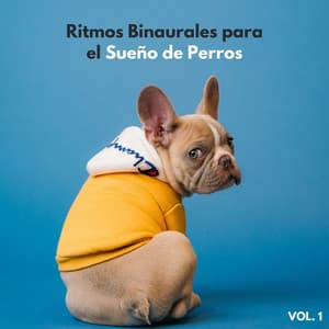 Ritmos Binaurales Para El Sueño De Perros Vol. 1 - Serenidad Academy