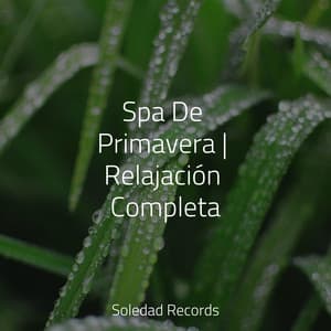 Spa De Primavera | Relajación Completa - Música relajante con sonidos de la naturaleza