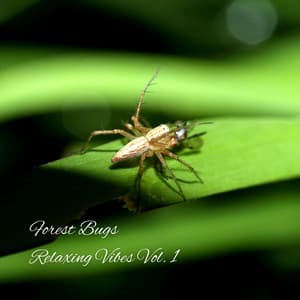 Forest Bugs Relaxing Vibes Vol. 1 - Relaxing Classical Music