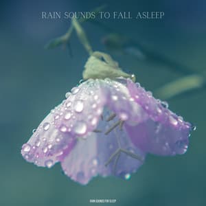 Rain Sounds To Fall Asleep - Rain Sounds For Sleep