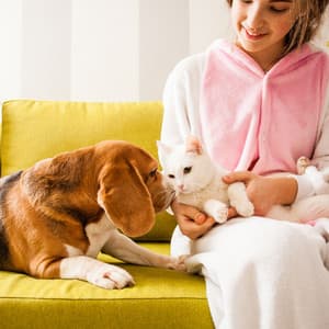 Pet-Friendly Piano Shower: Rainy Melodies for Relaxation - Piano Toys