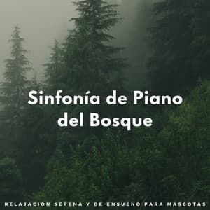Sinfonía De Piano Del Bosque: Relajación Serena Y De Ensueño Para Mascotas - Novela de piano
