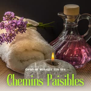 Chemins Paisibles: Musique de Massage - Oasis de Musique Zen Spa