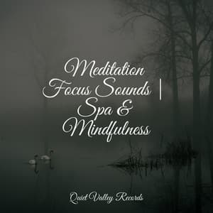Meditation Focus Sounds | Spa & Mindfulness - Pure Serenity Spa Music & Massage Collective Garden & Zen Relaxation Meditation
