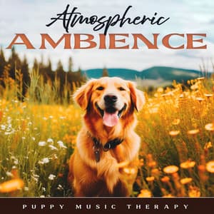 Atmospheric Ambience - Puppy Music Therapy