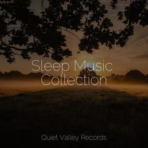 Sleep Music Collection - The Rain Library
