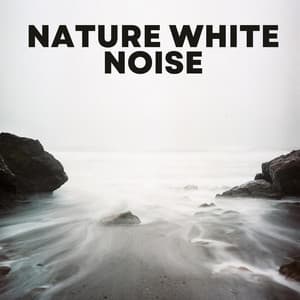 Nature White Noise - Ambient Nature White Noise