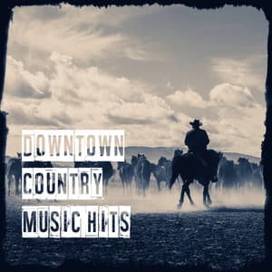 Downtown Country Music Hits - The Country Music Heroes
