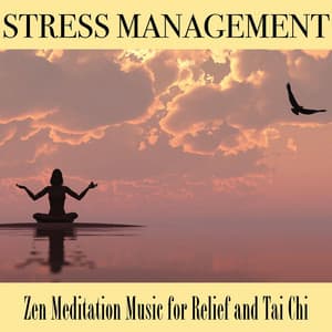 Stress Management: Zen Meditation Music for Relief and Tai Chi - Tai Chi Chuan