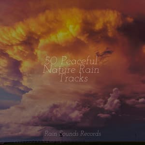 50 Peaceful Nature Rain Tracks - Musica Para Estudiar Academy