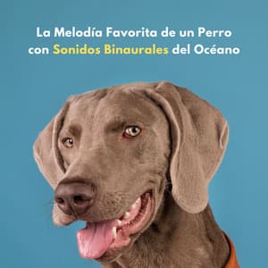 La Melodía Favorita De Un Perro Con Sonidos Binaurales Del Océano - Sistema de ritmos binaurales