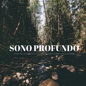 Sono Profundo: Sons Relaxantes Da Natureza Para Domir Como Um Bebê - Música de Relaxamento No Spa