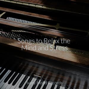Songs to Relax the Mind and Stress - Ivory Mood