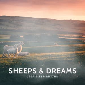 Sheeps & Dreams: Music to Help You Sleep - Deep Sleep Rhythm