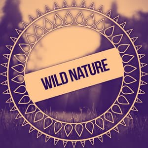 Wild Nature – Nature Music for Sleep, Yoga Meditation, Relaxation, Healing Spa and Wellness - Kings of Nature