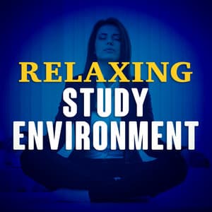 Relaxing Study Environment - Relaxation Study Music