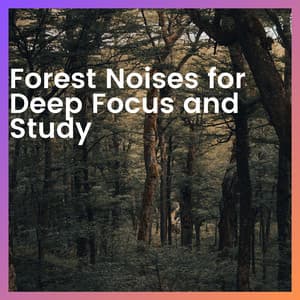 Forest Noises for Deep Focus and Study - Forest Sounds Channel