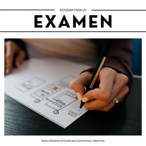 Estudiar para un Examen: Música Relajante de Estudio para Concentrarse y Memorizar - Aprender a Estudiar