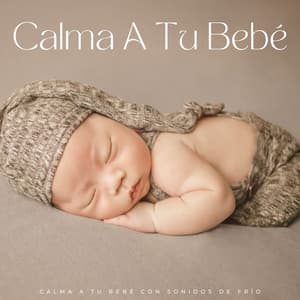 Calma A Tu Bebé Con Sonidos De Frío - El Canal del Clima