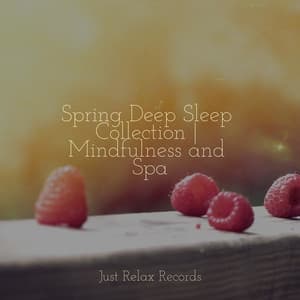 Spring Deep Sleep Collection | Mindfulness and Spa - Sleepy Night Music