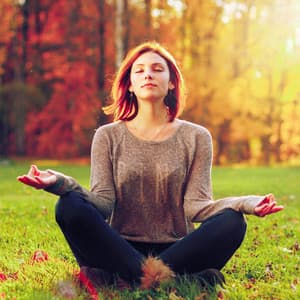 Luminous Tranquility: Lofi Meditation Auras - Lofi Hip-Hop Beat