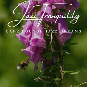 Jazz Tranquility: Café Lounge Relaxation - Coffee Shop Playlist