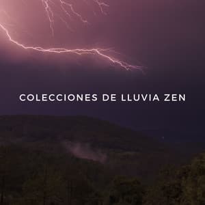 Colecciones De Lluvia Zen - La Lluvia Suena Expertos en Naturaleza