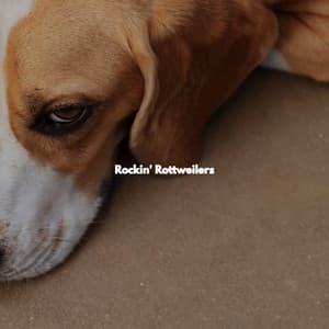 Rockin' Rottweilers - Jazz Rilassante Primo