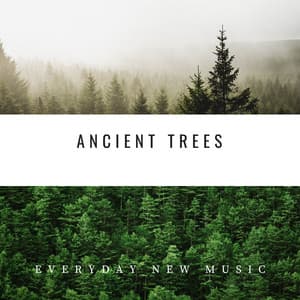 Ancient Trees: Native American Chants - Everyday New Music