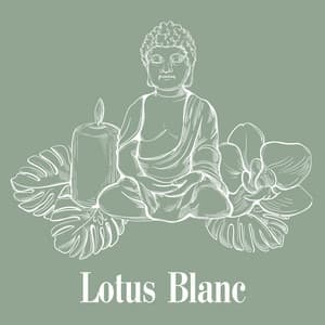 Lotus Blanc: Rayon de Tranquillité - Buddhist méditation académie