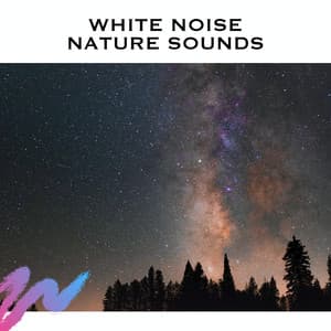 White Noise Nature Sounds - Study Radiance