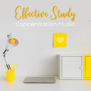 Effective Study: Concentration Music, Brain Stimulation, Exam, While Learning, Focus & Power of Mind, Deep Reflections - Exam Study Songs Masters